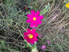 -长春公园(普阳街道)