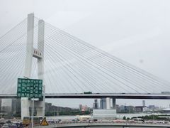 -春秋旅游航空(西藏路分部)