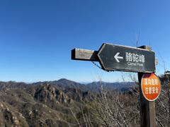 -大岭沟猕猴桃谷风景区