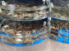 -蓝珊甄选海鲜自助·火锅大排档(近阿那亚店)