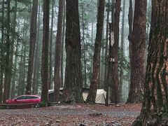 -重庆睡佛山森林公园