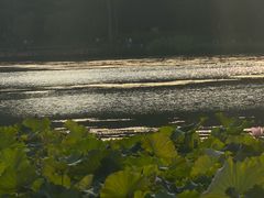 -南宁南湖公园