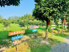 -前小桔亲子创意农场·草莓采摘·露营烧烤