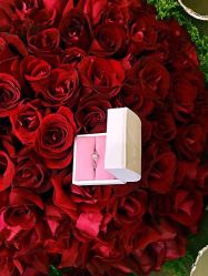 钻戒-世纪缘珠宝(贵和领秀城店)