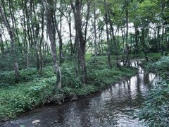 -西溪南古村落景区
