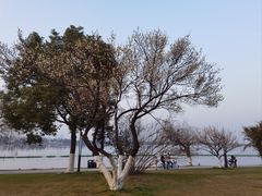 -东湖磨山景区