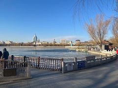 -莲花池公园