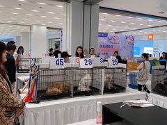 -凯德广场(武胜路店)