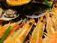 -悦海·家宴·冰花皮皮虾大锅贴(宝龙店)