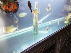 android_upload_pic-沃德阿拉丁酒店(威海海滨南路韩乐坊店)