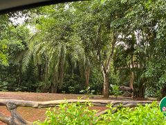 -海南热带野生动植物园