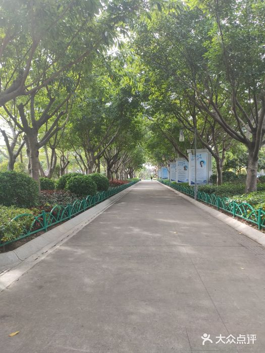 白鹭洲公园图片