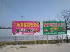 -小鱼草莓采摘园农家乐·小鱼餐厅