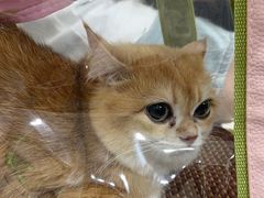 -美联众合动物医院·24h京西诊疗中心
