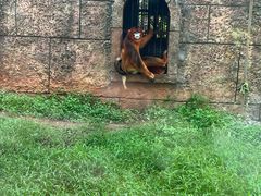 -南昌动物园