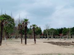-东平国家森林公园