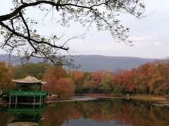 -灵谷景区
