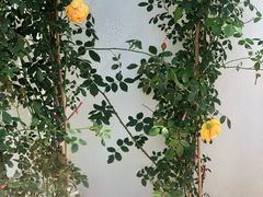 -几静cafe(基湖店)