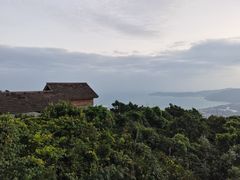 -亚龙湾热带天堂森林公园