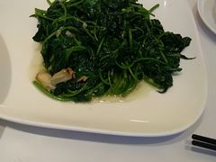 -三亚中亚国际大酒店