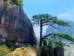 -黄山白云宾馆