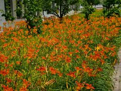 -南开大学(八里台校区)