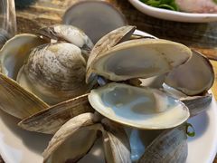 -拾下卜卜贝•海鲜火锅