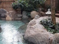 android_upload_pic-金方森林温泉