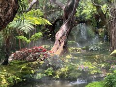 -Chom Cafe and Restaurant