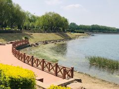 -丁香湖公园