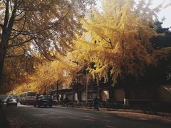 -四川大学(望江校区)