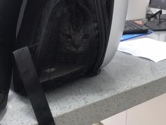 -萌兽医馆·绝育·24小时内科·宠物医院(德胜店)