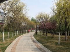 -南翠屏公园