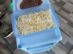 -榭香林温泉醉鹅(胜利路店)