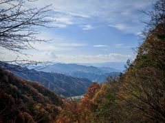 -王顺山国家森林公园