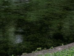 -晓港公园