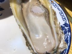 桑拿蠔-天宝食坊·啫啫煲大排档(西华路店)