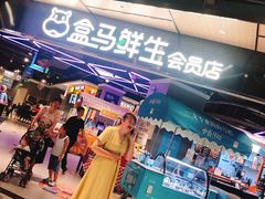 门面-盒马鲜生(王府广场店)