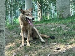 -北京野生动物园