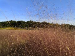 -云漫湖生态度假公园