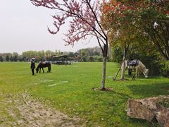 -合肥三国新城遗址公园
