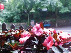 -国生茶庄·地道农家菜团建活动