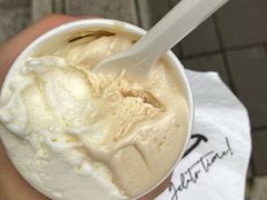 无花果叶-Dip in Gelato(富民路店)