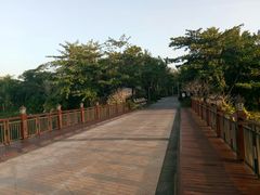 -三亚珠江南田温泉度假区