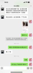 -镁连社·美联社