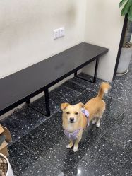 -Hair Co.一间沙龙