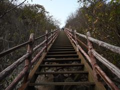 -北京凤凰岭