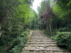 -仙霞关景区
