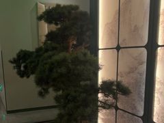 -潮上潮(南中环店)