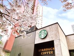 -玛格萝妮比萨屋(四平店)